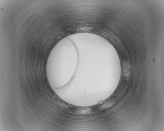 X0000066080514200603241435