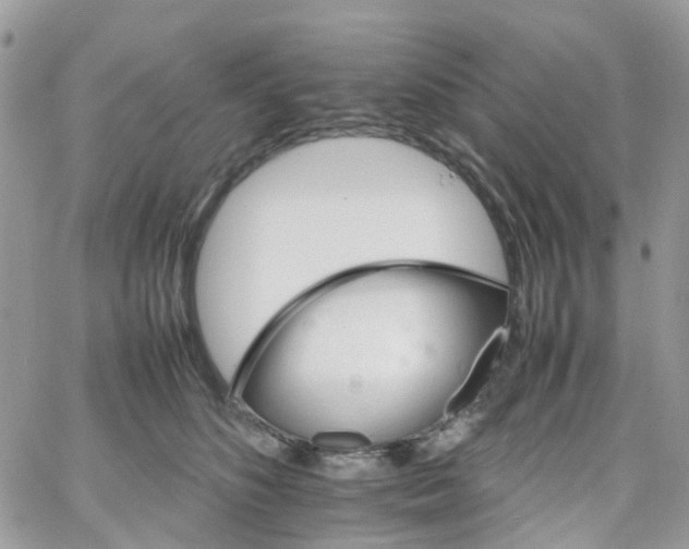 X0000066080516200603241435