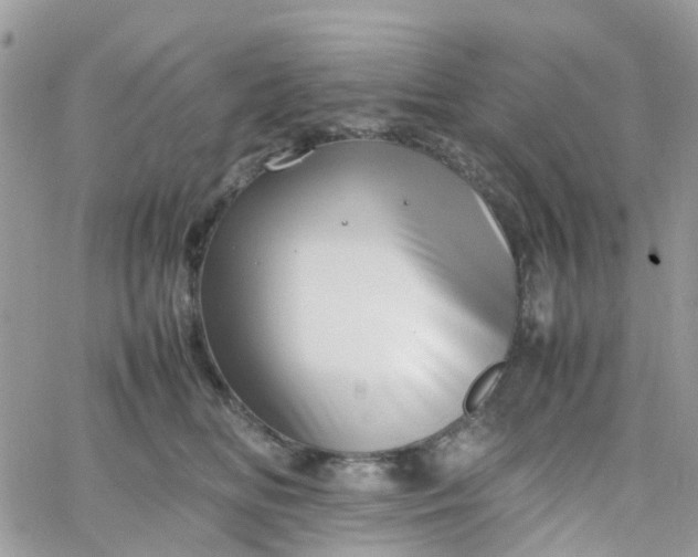 X0000066080518200603241435