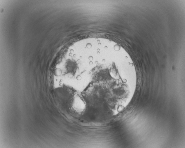 X0000066080519200603241435