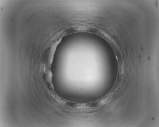 X0000066080521200603241435