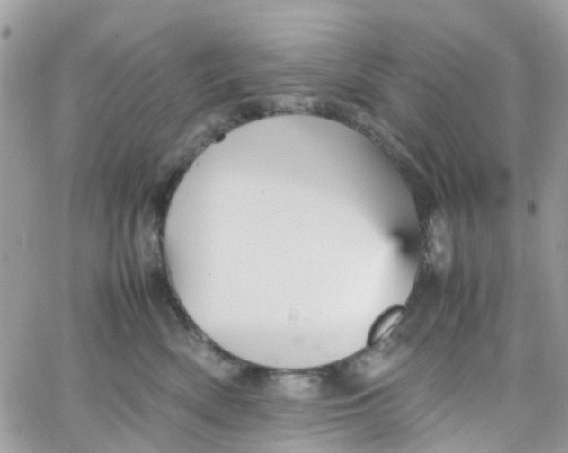 X0000066080522200603241435