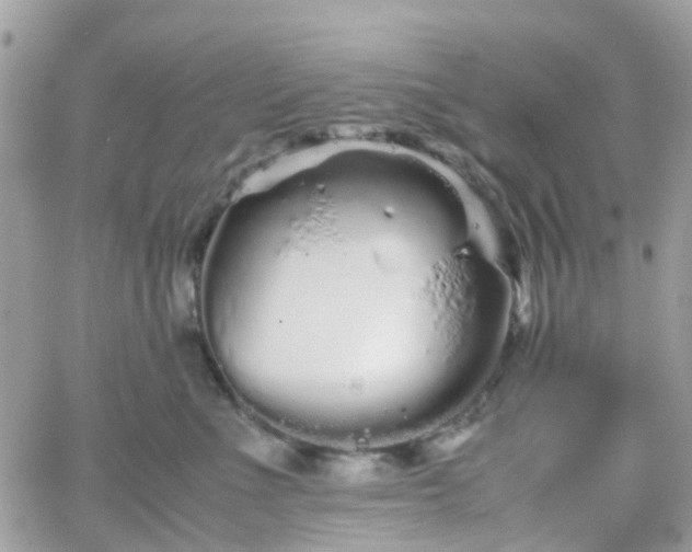 X0000066080523200603241435