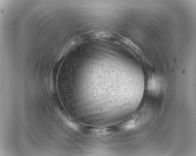 X0000066080524200603241435