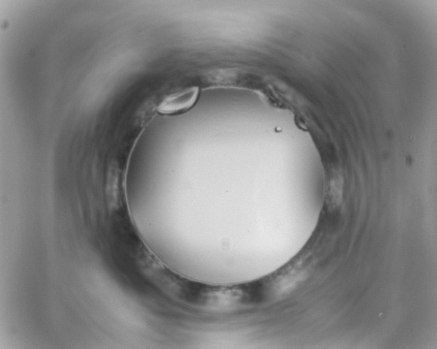 X0000066080525200603241435