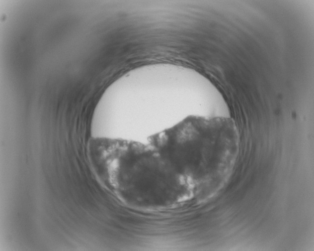 X0000066080527200603241435