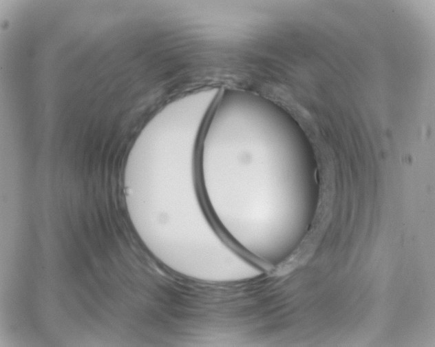 X0000066080528200603241435