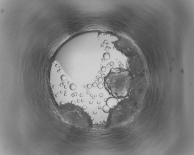 X0000066080529200603241434