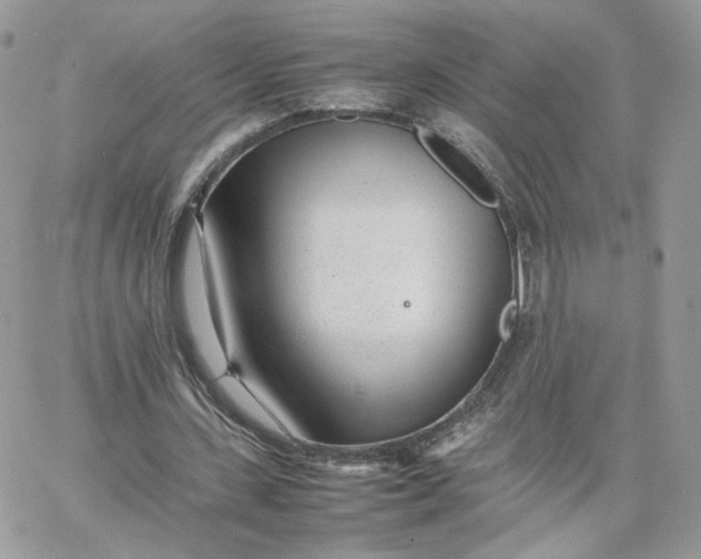 X0000066080531200603241434