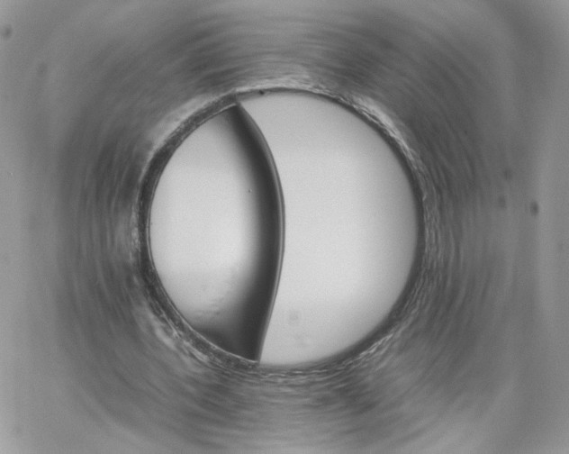 X0000066080532200603241434