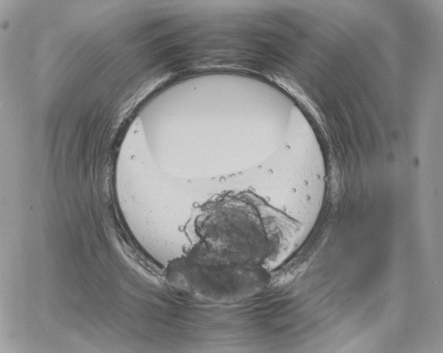 X0000066080533200603241434