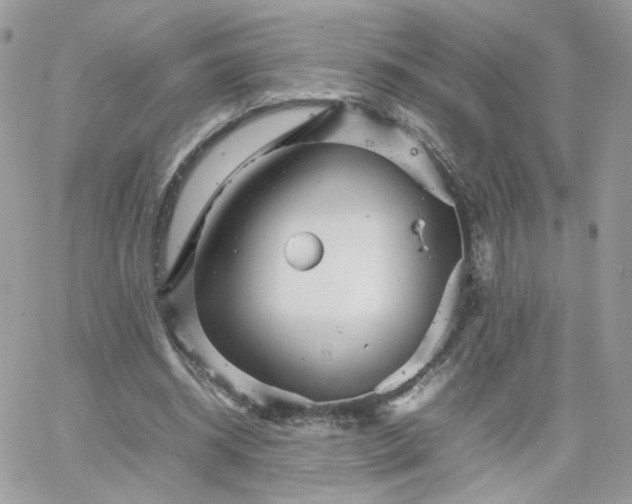 X0000066080534200603241434