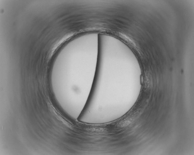 X0000066080535200603241434