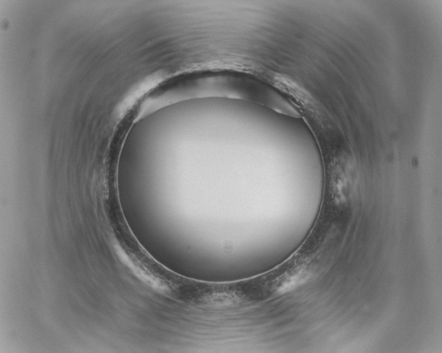 X0000066080536200603241434