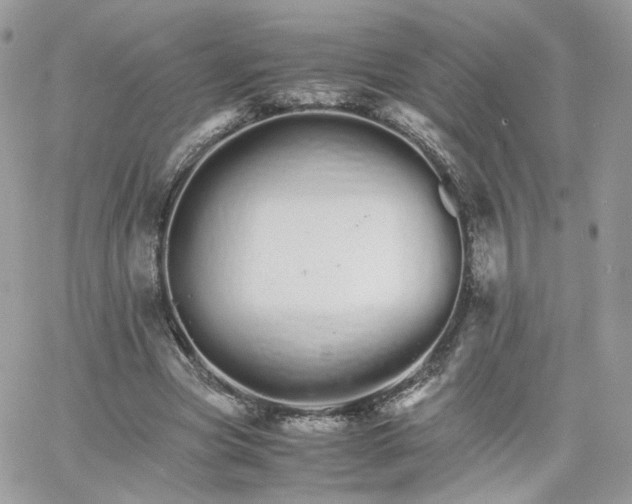 X0000066080537200603241434