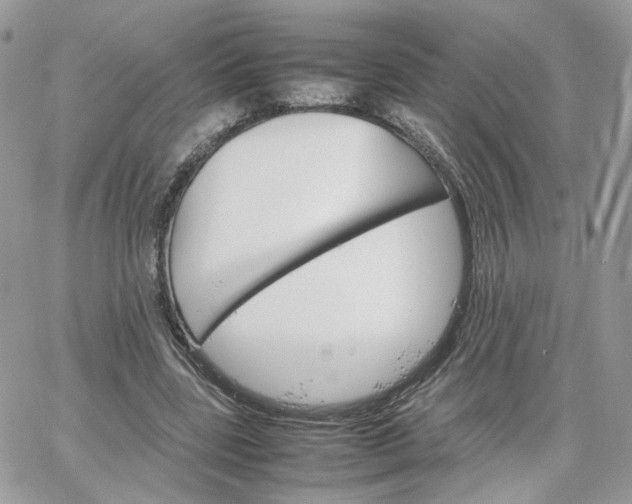 X0000066080539200603241434