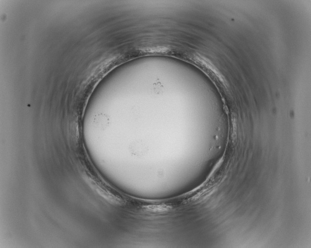 X0000066080541200603241434