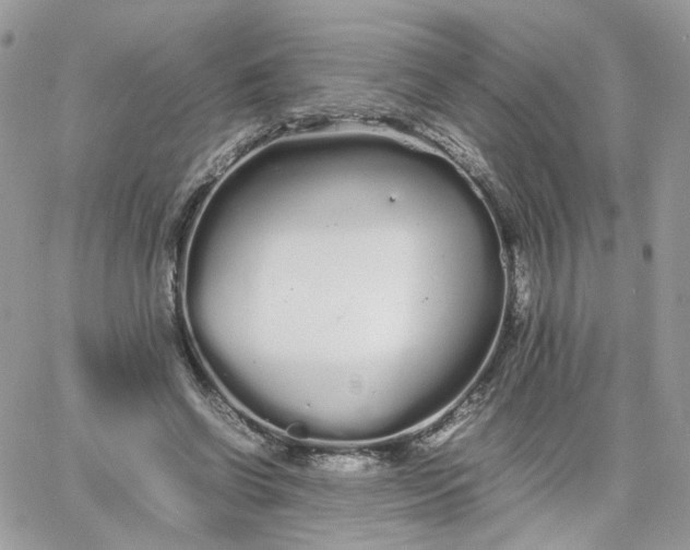 X0000066080542200603241434