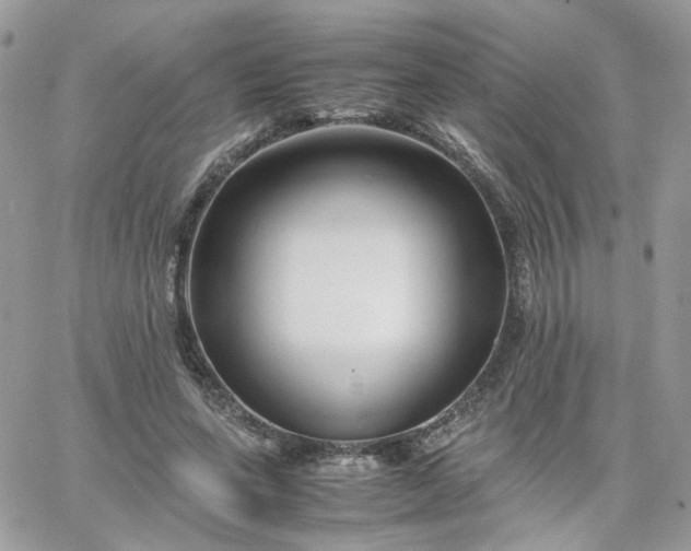 X0000066080543200603241434