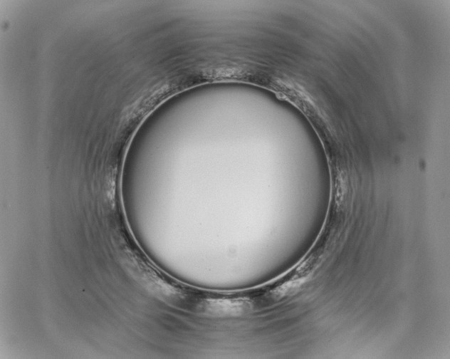 X0000066080545200603241434