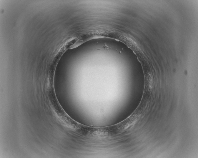 X0000066080546200603241434