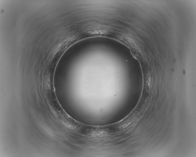 X0000066080547200603241434