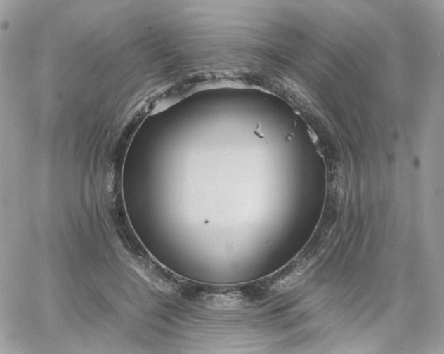 X0000066080548200603241434