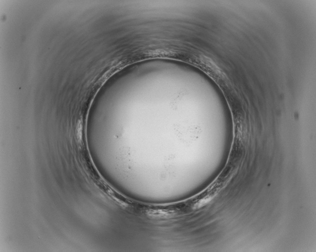 X0000066080549200603241434