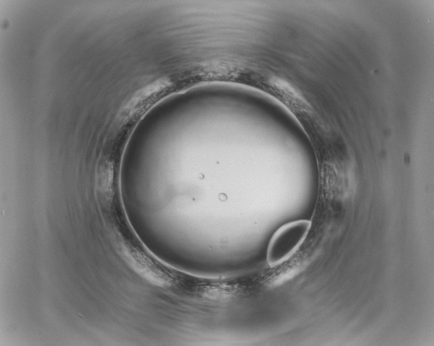 X0000066080550200603241434