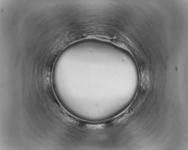 X0000066080553200603241434