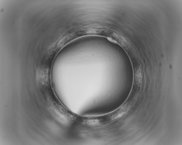 X0000066080554200603241434