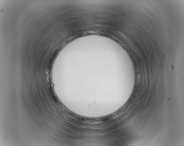 X0000066080555200603241434