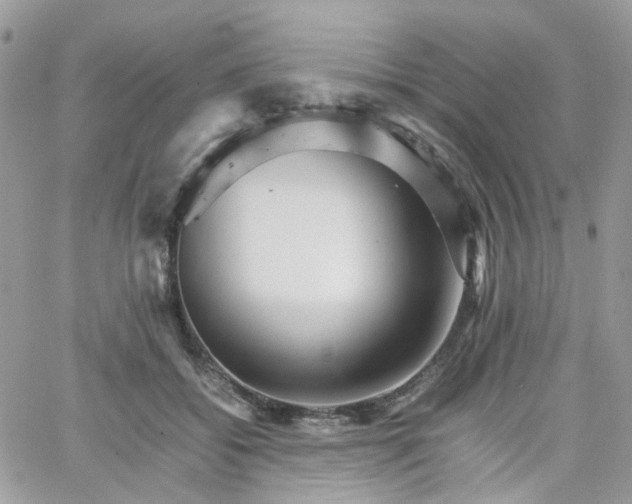 X0000066080556200603241434