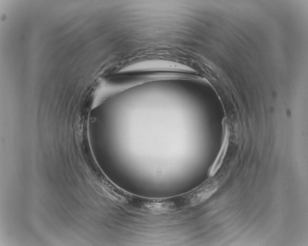 X0000066080558200603241435