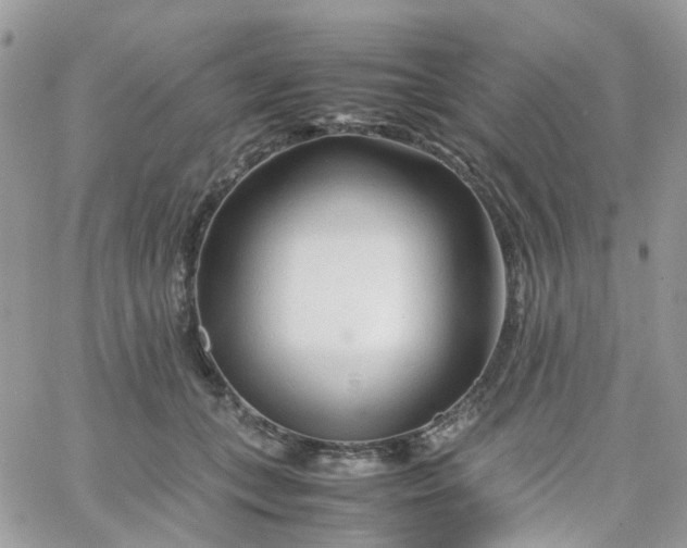 X0000066080559200603241435