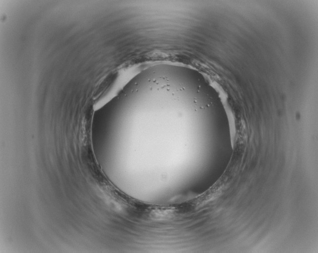 X0000066080560200603241435