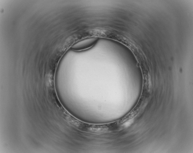 X0000066080561200603241435