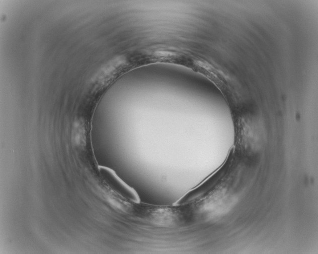 X0000066080562200603241435