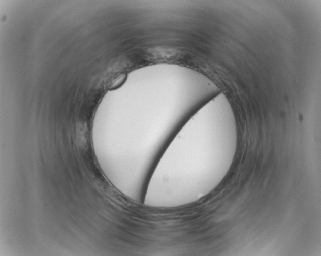 X0000066080563200603241435