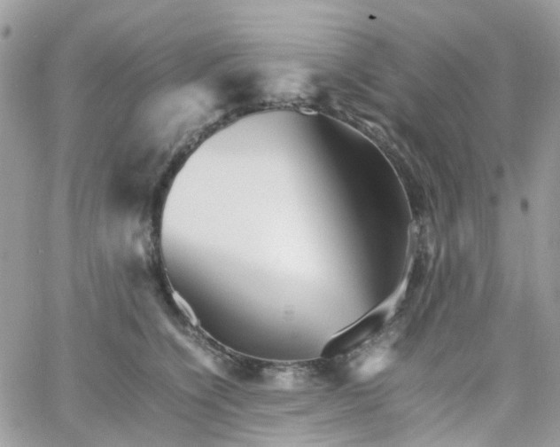 X0000066080564200603241435