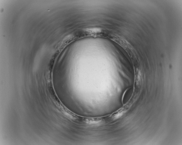 X0000066080565200603241435