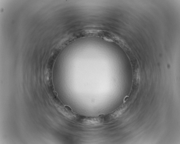 X0000066080567200603241435