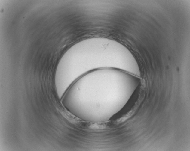 X0000066080568200603241435