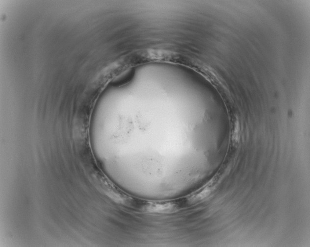 X0000066080569200603241435