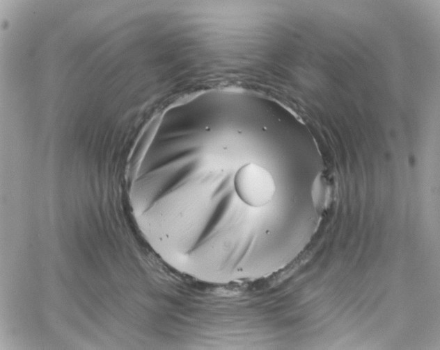 X0000066080570200603241435