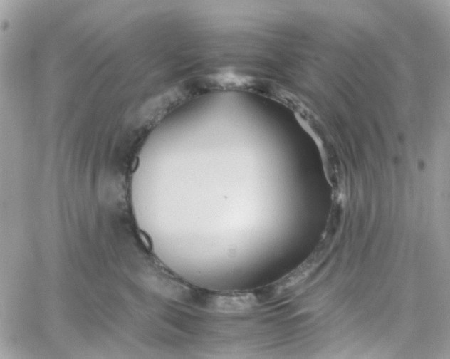 X0000066080571200603241435