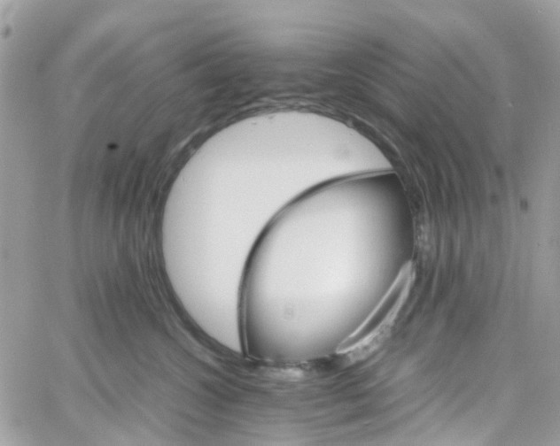 X0000066080572200603241435