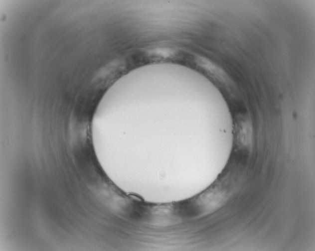 X0000066080574200603241435