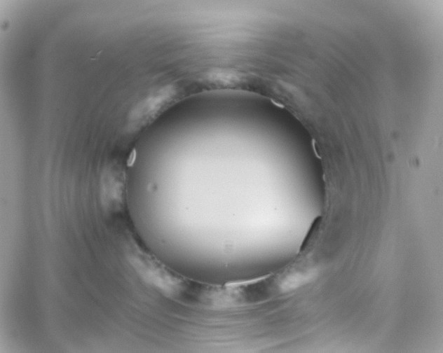 X0000066080576200603241435