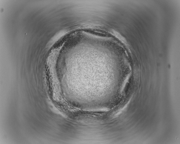 X0000066080577200603241434